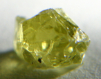 Pallasite Mineral